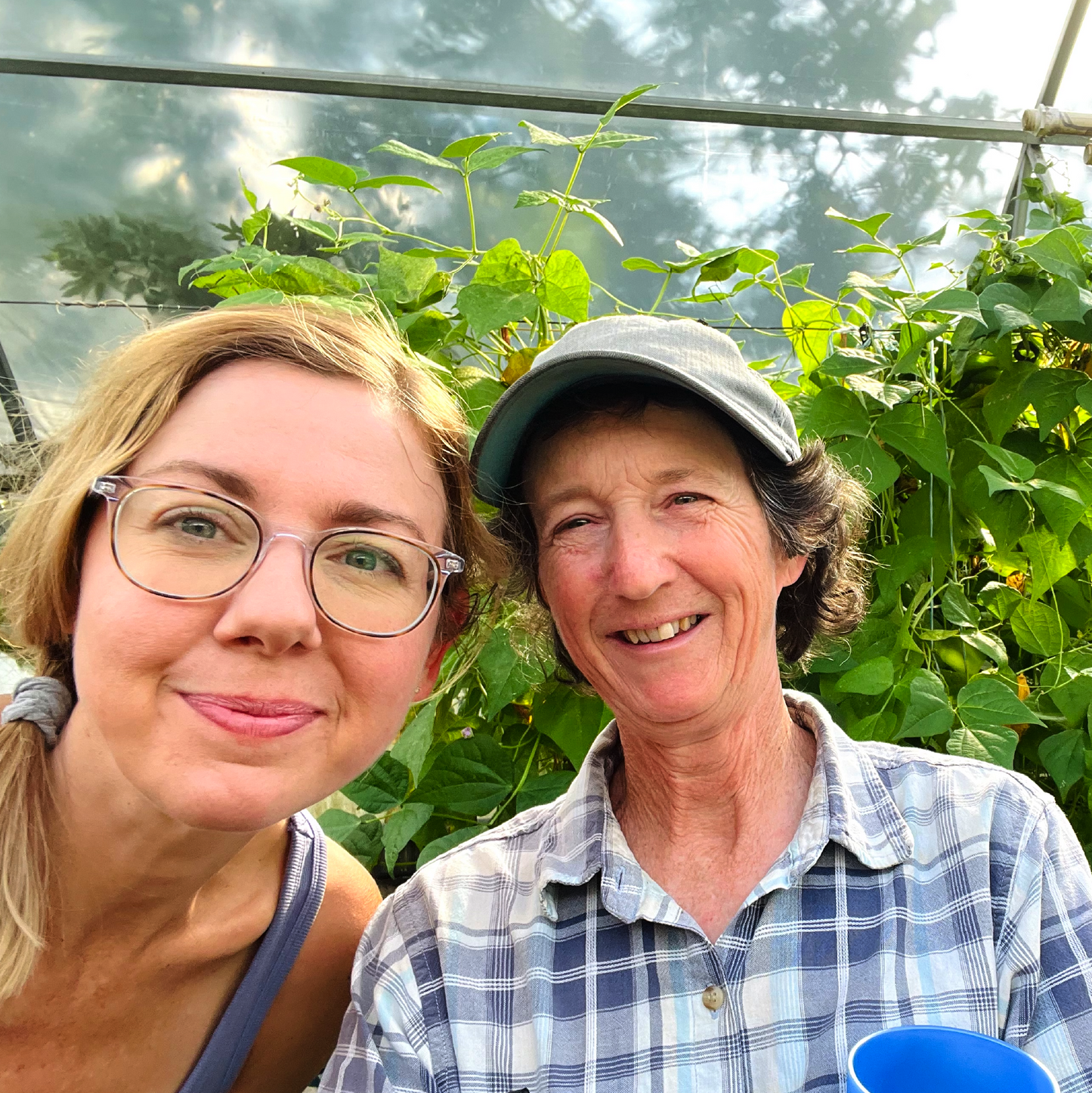 The Homestead Abundance Garden Course