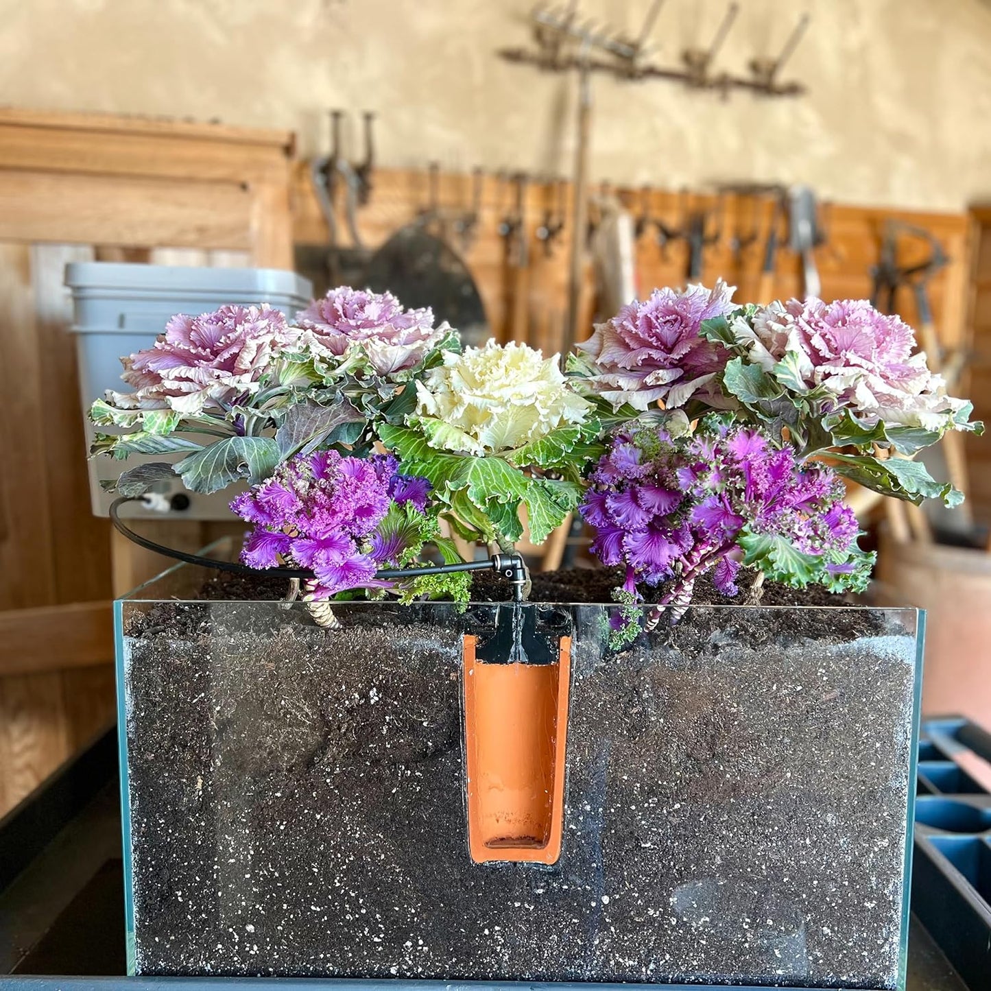 Thirsty Earth: Indoor/Outdoor CottaCup Watering System For Containers & Grow Bags