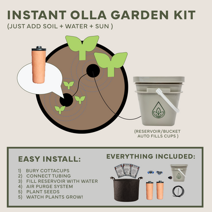 Instant Olla Garden Kit – The Beginner's Self-Watering Indoor/Outdoor Container Garden