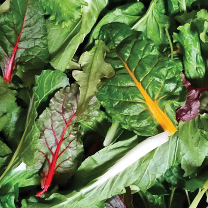 Grow Leafy Greens – Online Course